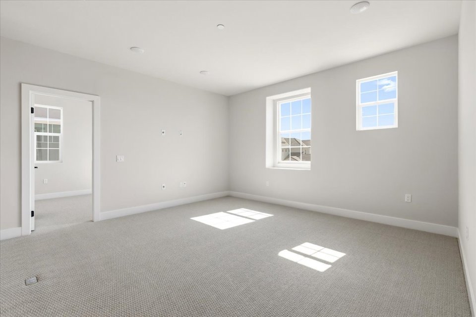A room with windows and a carpet.