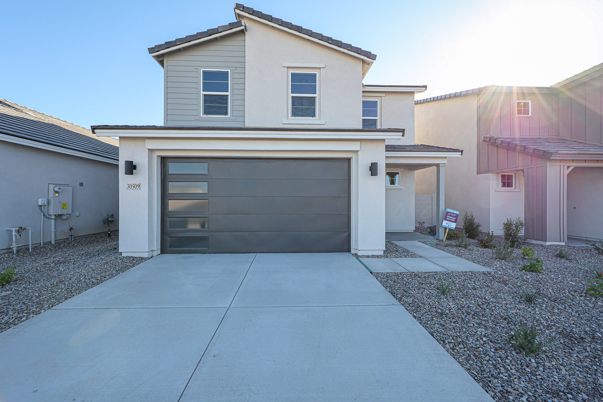 0065 30509 W WHITETHORN ACACIA