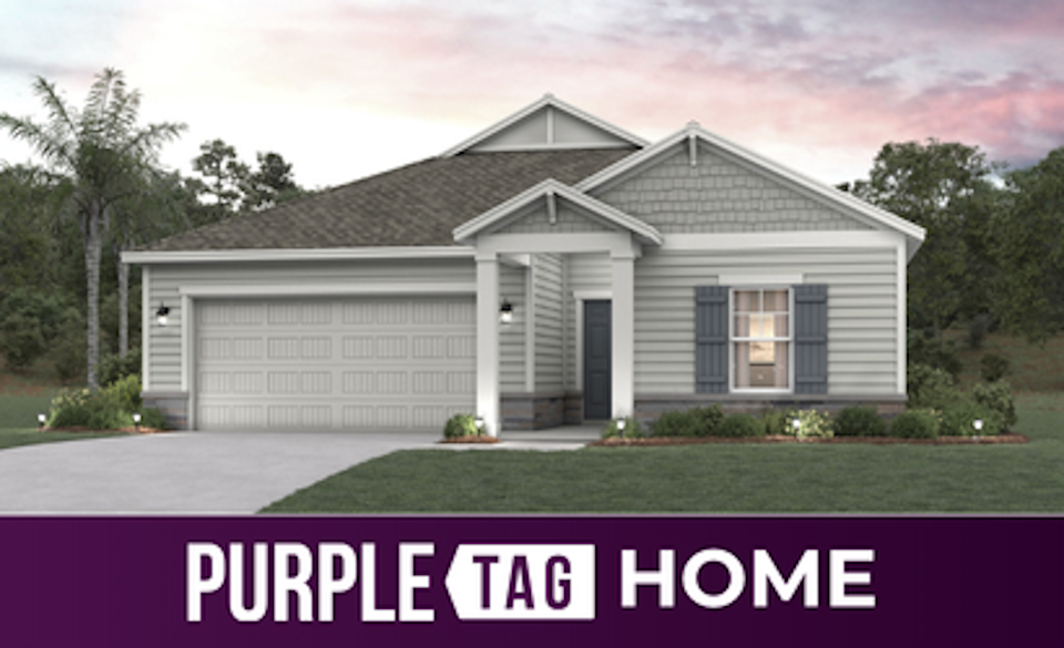 Purple Tag Home Lot 212 at Reserve East