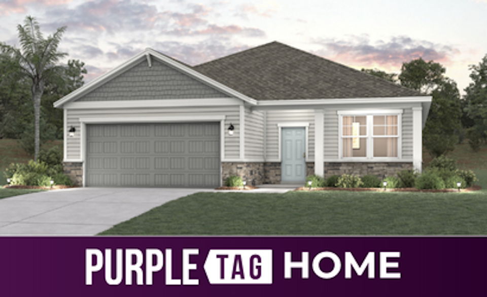 Purple Tag Home Lot 216 at Reserve East