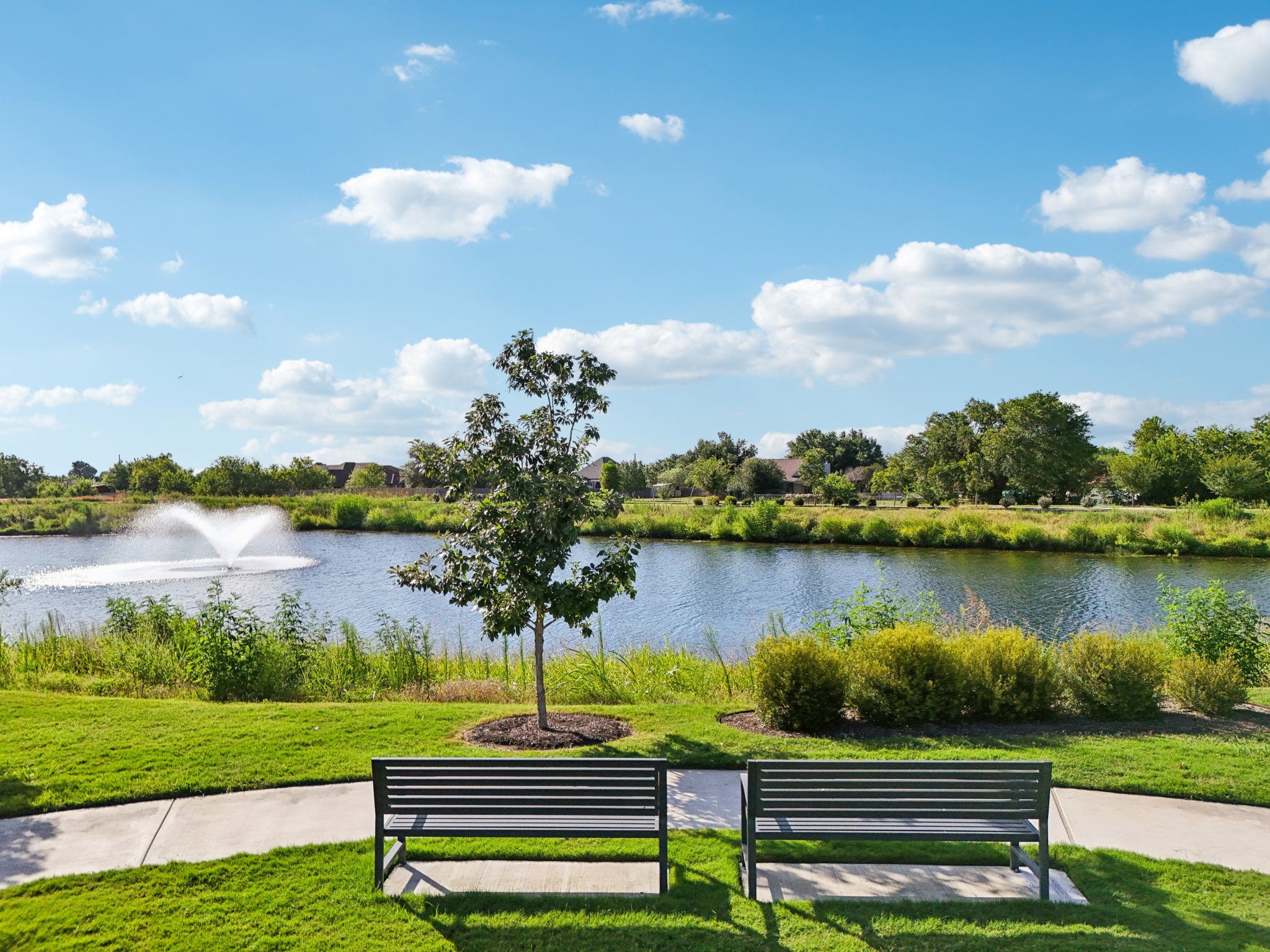 Benches in front of a lake.
